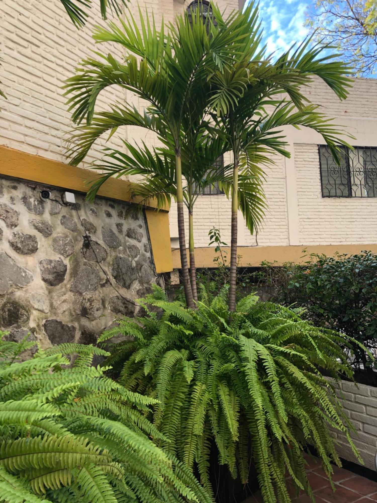 Hotel Ilebal Cuernavaca Centro - Lugar Con Encanto! Εξωτερικό φωτογραφία