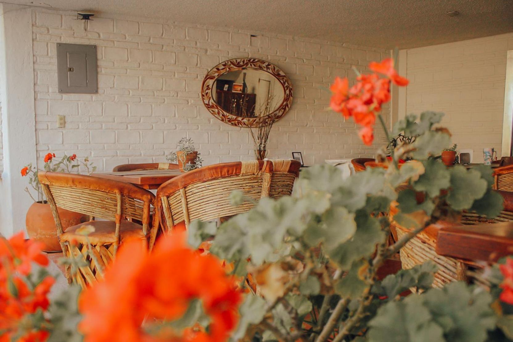 Hotel Ilebal Cuernavaca Centro - Lugar Con Encanto! Εξωτερικό φωτογραφία