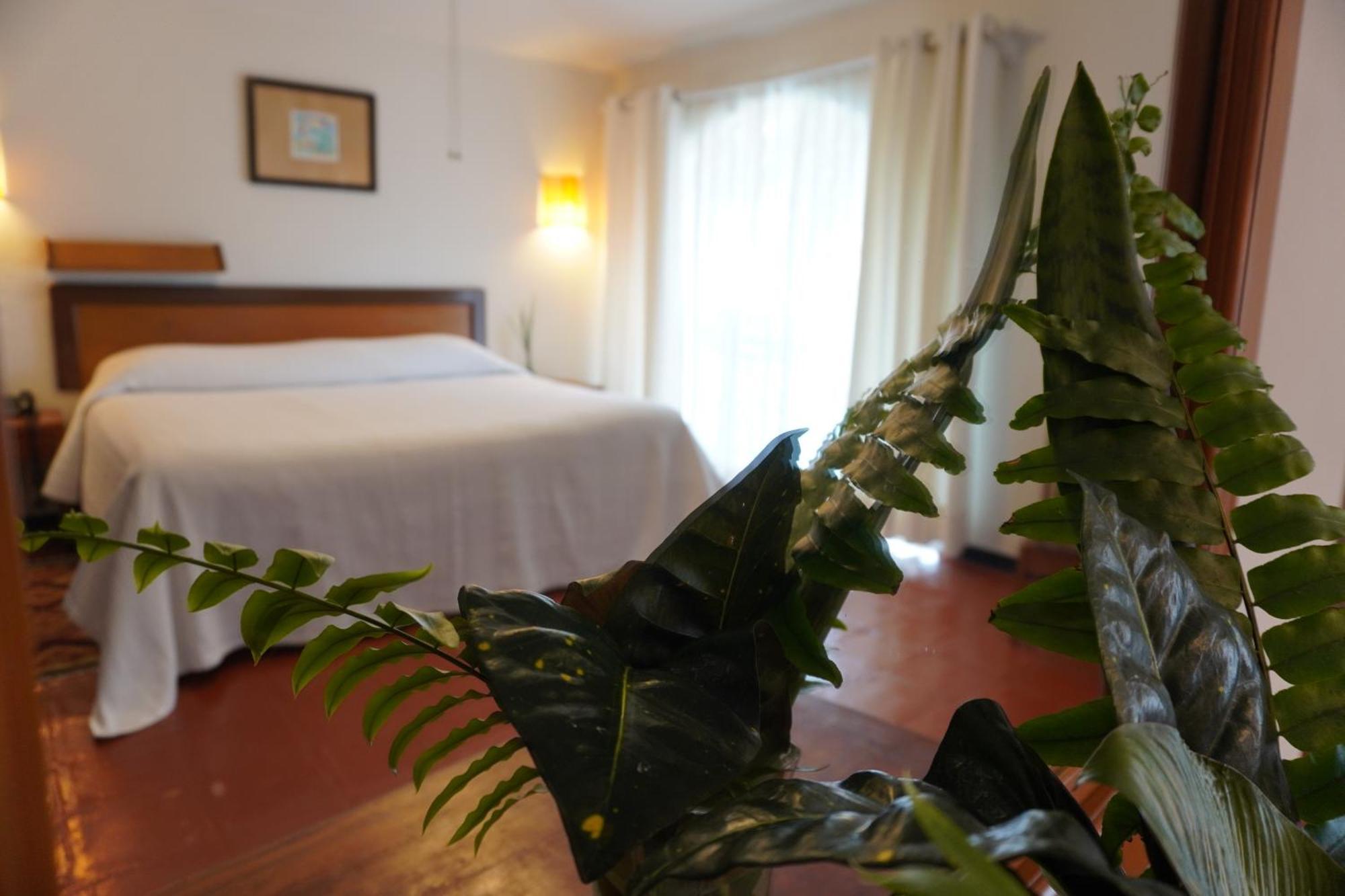 Hotel Ilebal Cuernavaca Centro - Lugar Con Encanto! Εξωτερικό φωτογραφία