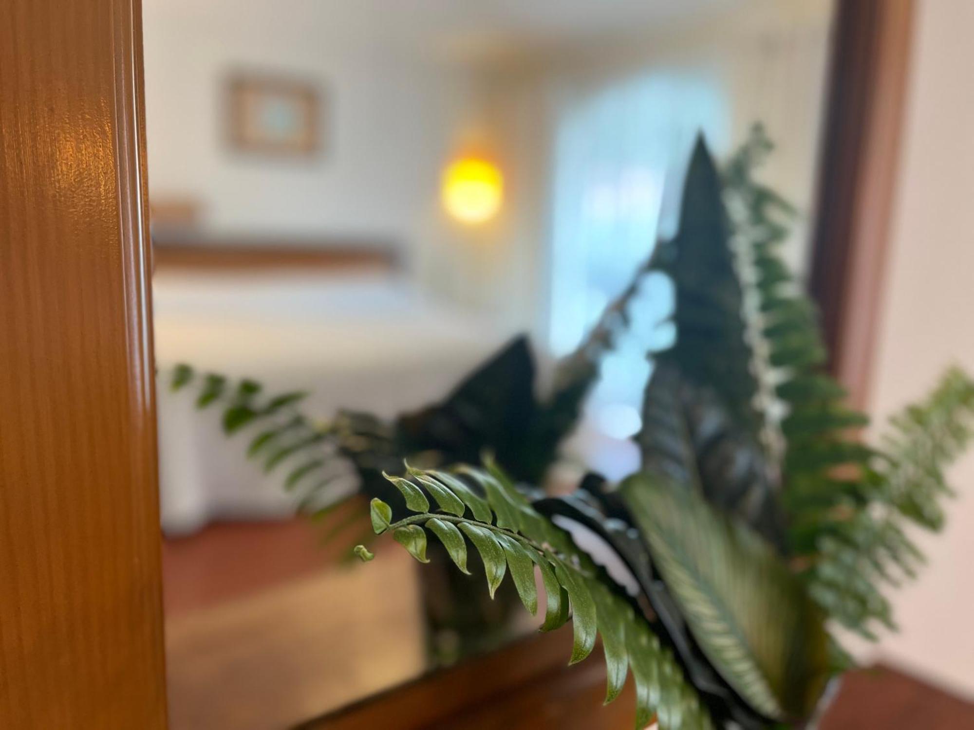 Hotel Ilebal Cuernavaca Centro - Lugar Con Encanto! Εξωτερικό φωτογραφία