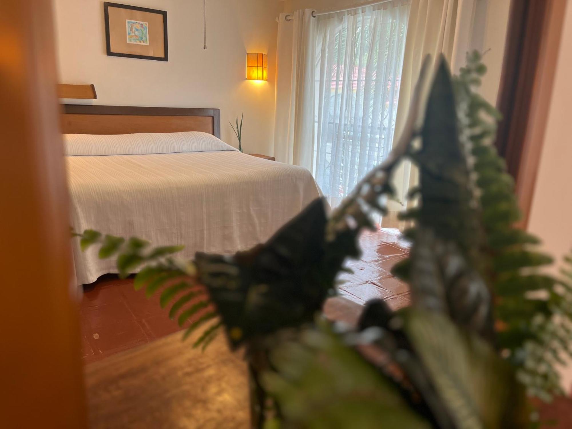 Hotel Ilebal Cuernavaca Centro - Lugar Con Encanto! Εξωτερικό φωτογραφία