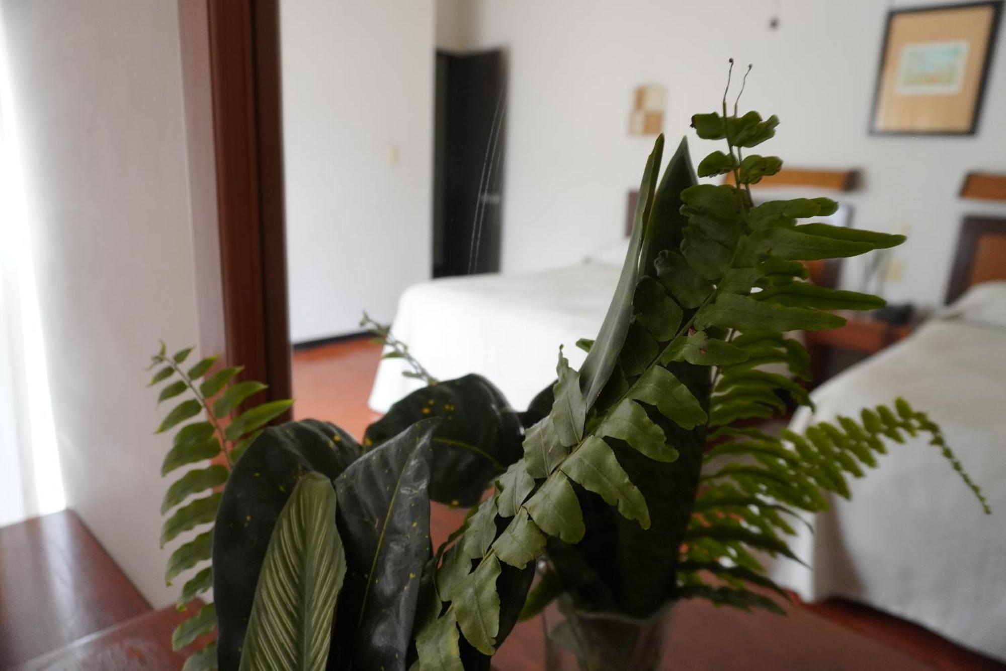 Hotel Ilebal Cuernavaca Centro - Lugar Con Encanto! Εξωτερικό φωτογραφία